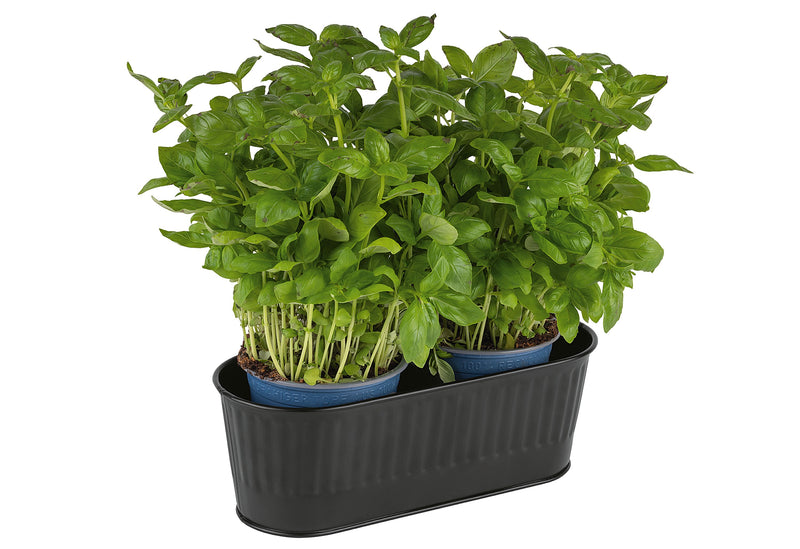 APS Besteck-/Allzweckkorb 29,5x12cm schwarz