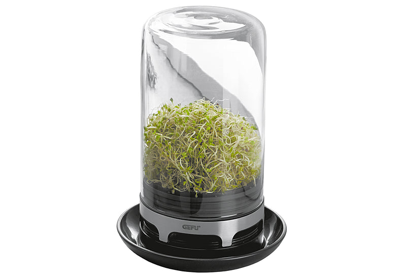 GEFU Sprossenglas Bivita 20cm