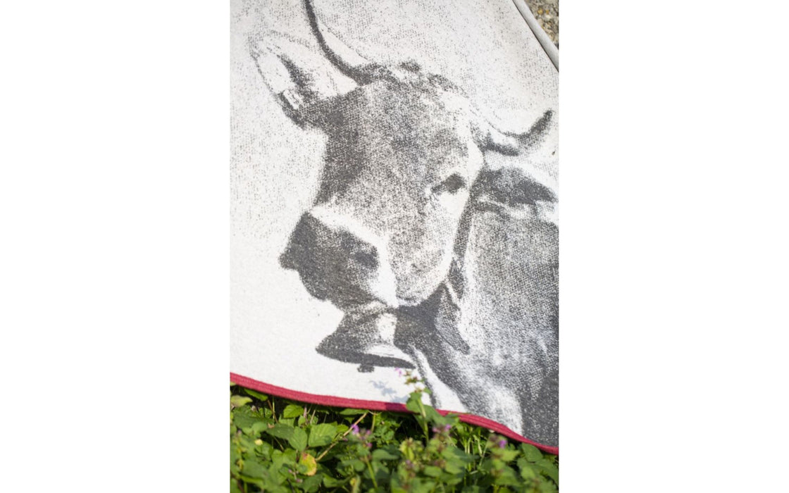 LUCA Baumwolldecke “Kuh fotorealistisch” in grau alpin, 200 x 140 cm, rohweiß, Doubleface Optik, Reinkuscheln und Dekorieren, edle rote Ziernaht als Umrandung