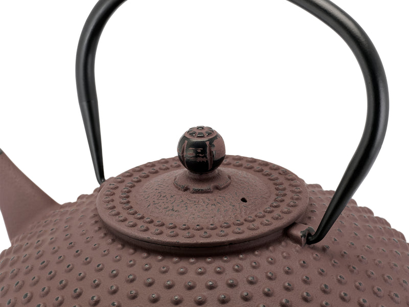 BREDEMEIJER Teekanne Gusseisen 1,25l aubergine