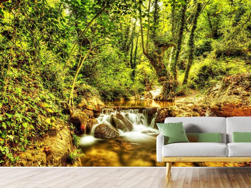 Wall Mural Waterfall in the forest
