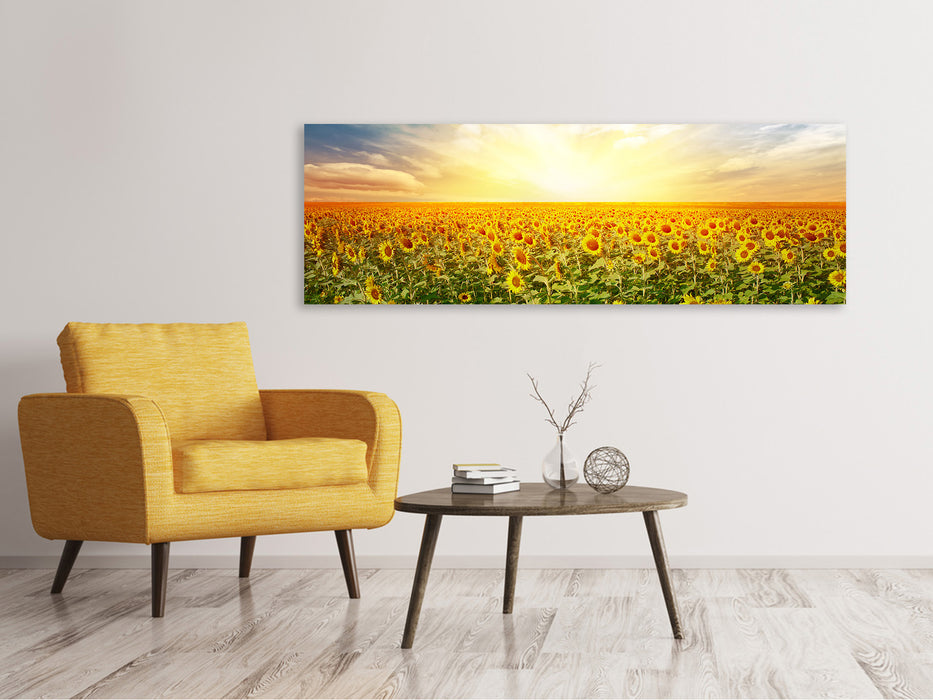 Leinwandbild Panorama Ein Feld voller Sonnenblumen