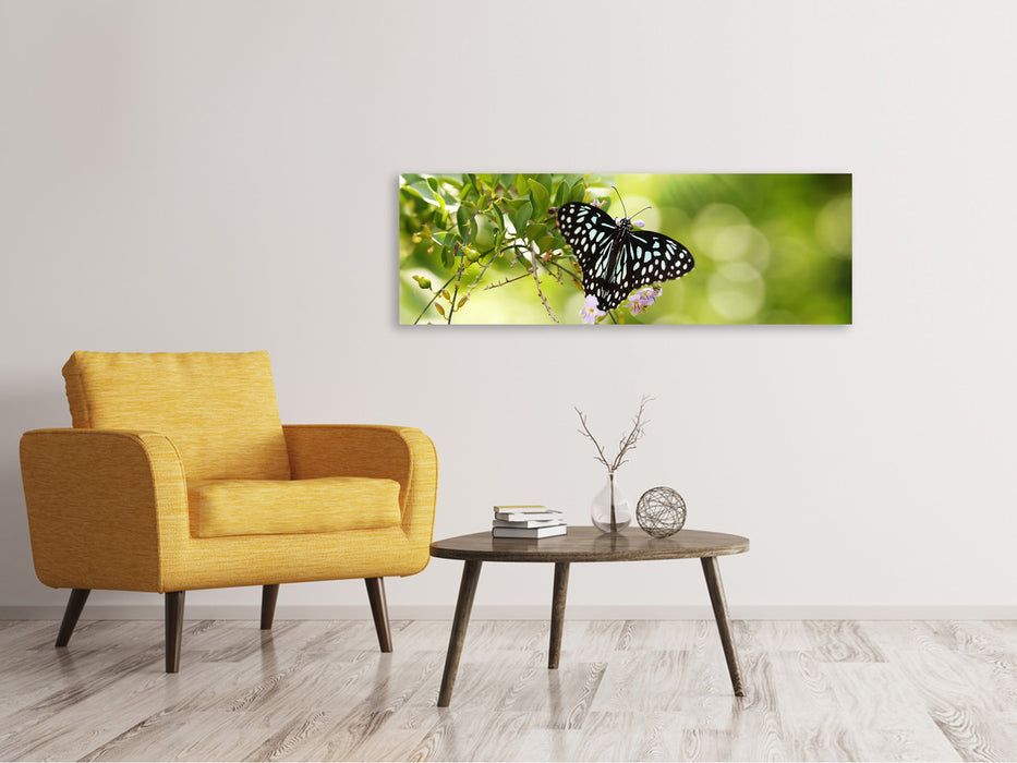 Leinwandbild Panorama Papilio Schmetterling XXL