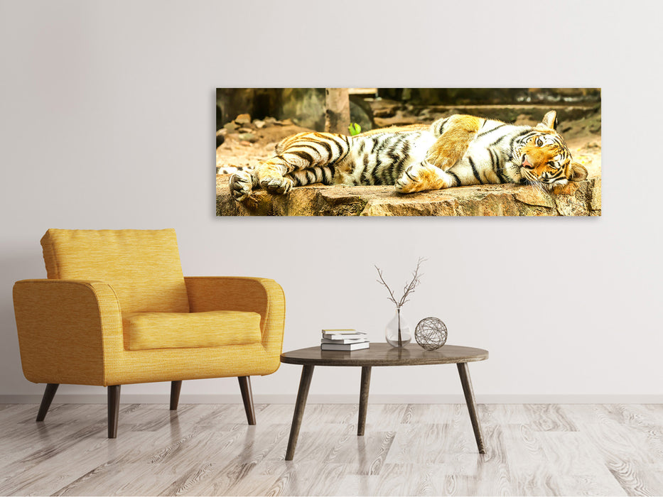 Leinwandbild Panorama Der Sibirische Tiger