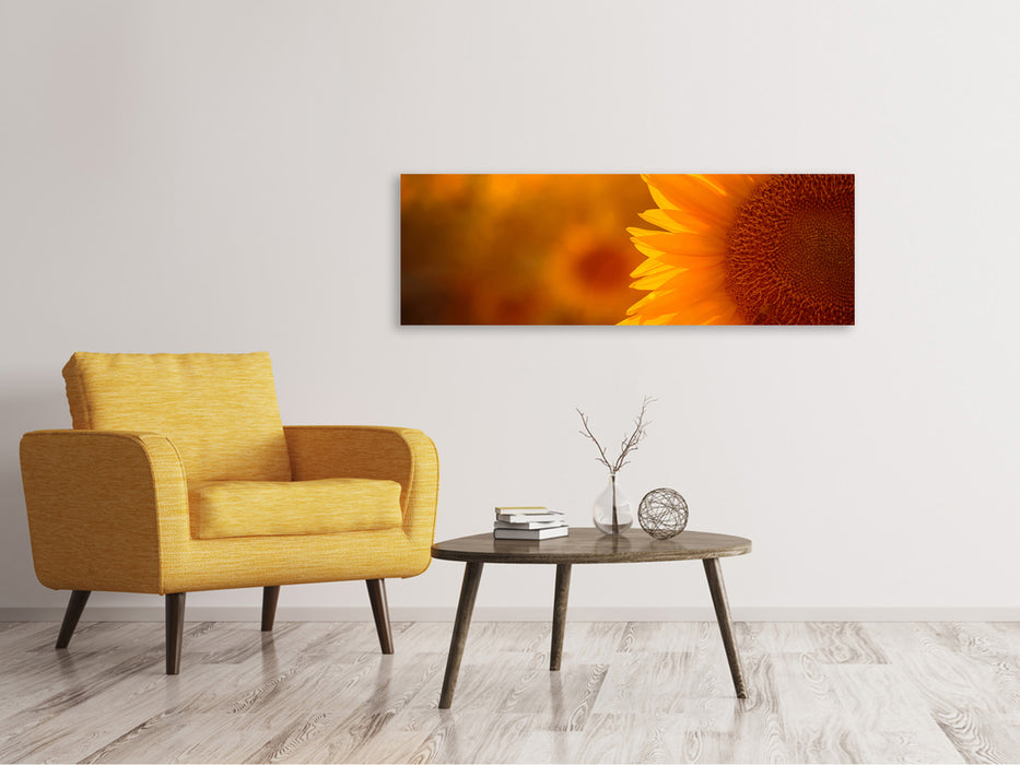 Leinwandbild Panorama Macro-Sonnenblume