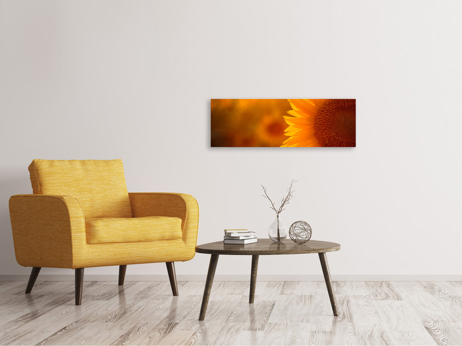 Leinwandbild Panorama Macro-Sonnenblume