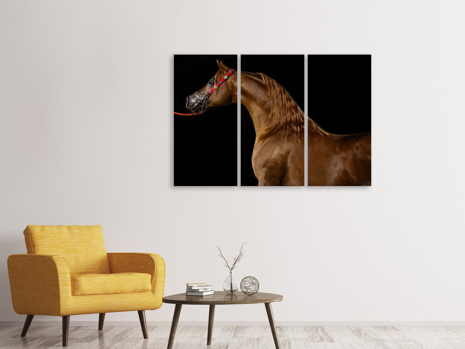 Leinwandbild 3-teilig Stolzes Pferd