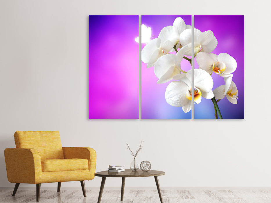 Leinwandbild 3-teilig Flower Power Orchidee