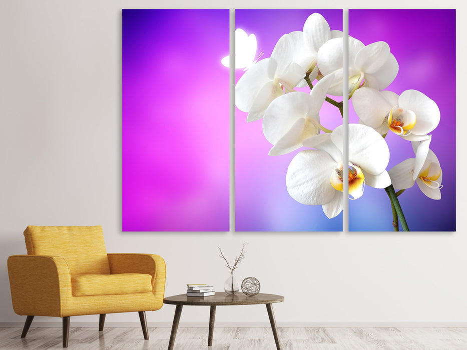Leinwandbild 3-teilig Flower Power Orchidee