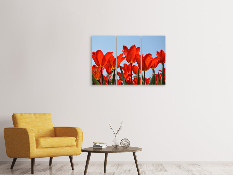 Leinwandbild 3-teilig Rote Tulpen XL