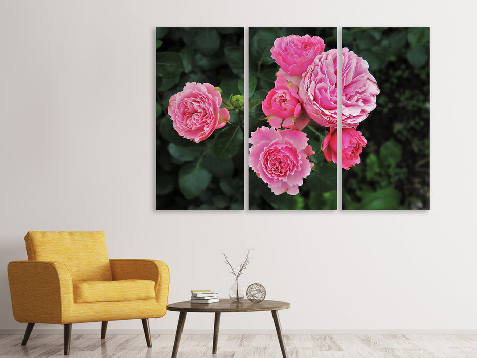 Leinwandbild 3-teilig Die wilden Rosen in pink