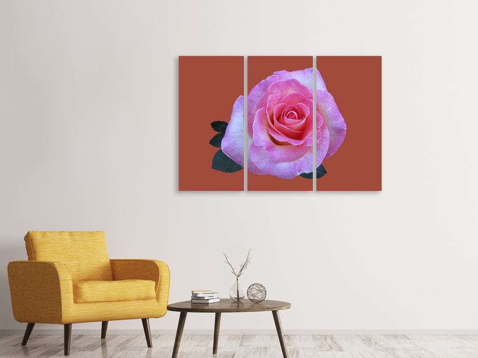 Leinwandbild 3-teilig Rose in pink XXL