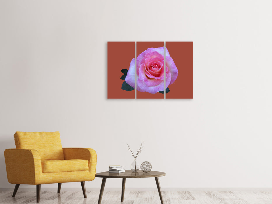 Leinwandbild 3-teilig Rose in pink XXL
