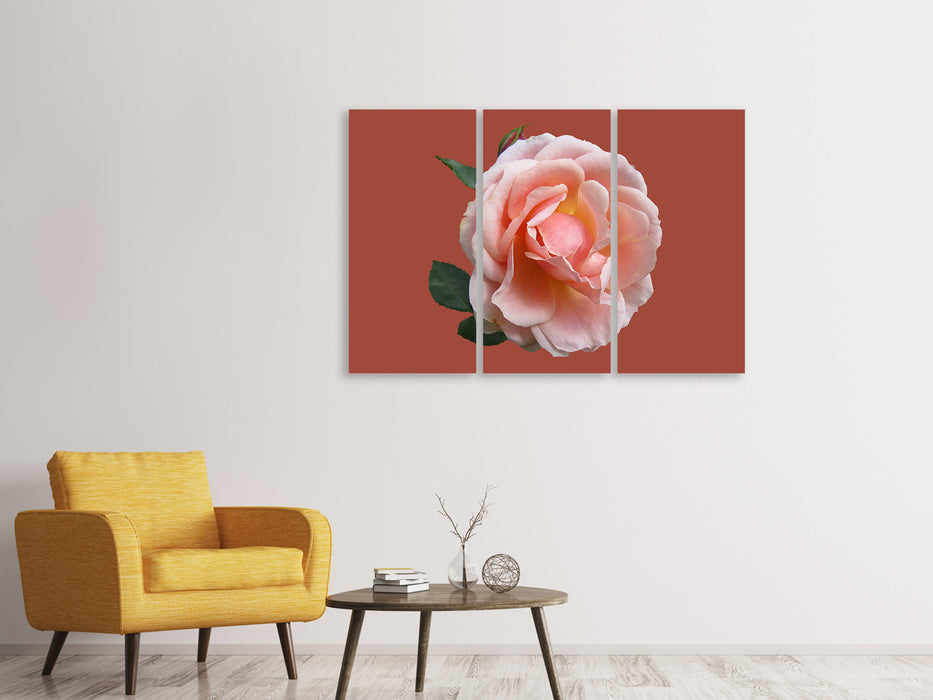 Leinwandbild 3-teilig Rose in rosa XXL