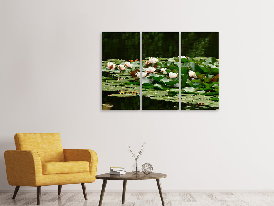 Leinwandbild 3-teilig Ein Feld voller Seerosen