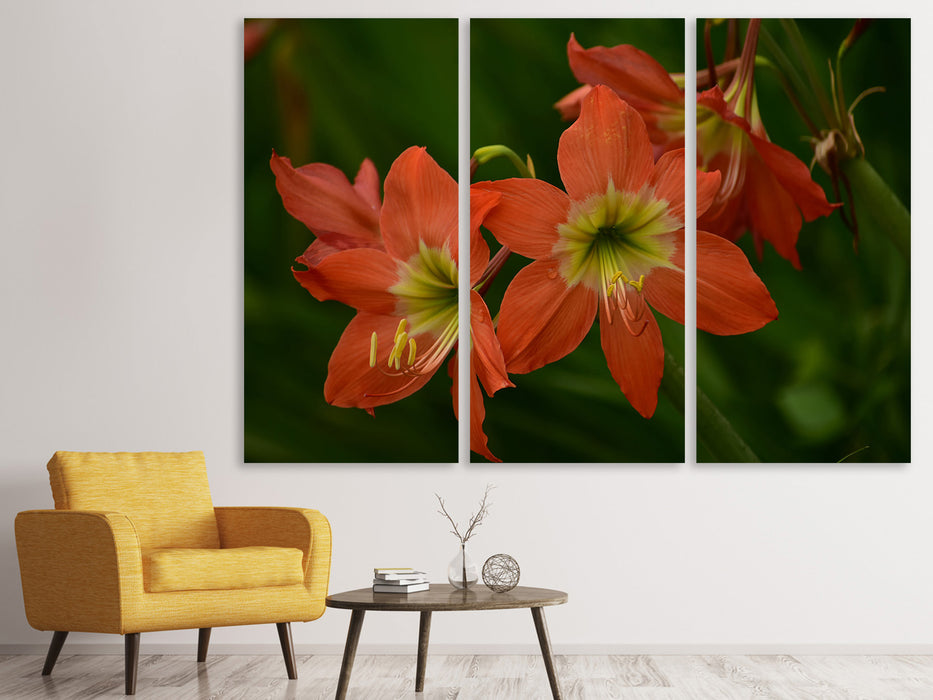 Leinwandbild 3-teilig Lilien in orange