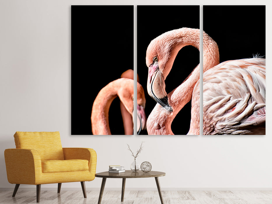Leinwandbild 3-teilig Prächtige Flamingos