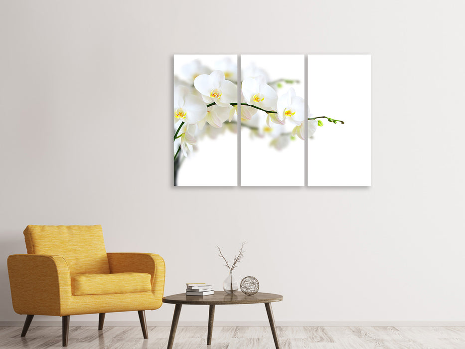 Leinwandbild 3-teilig Weisse Orchideen