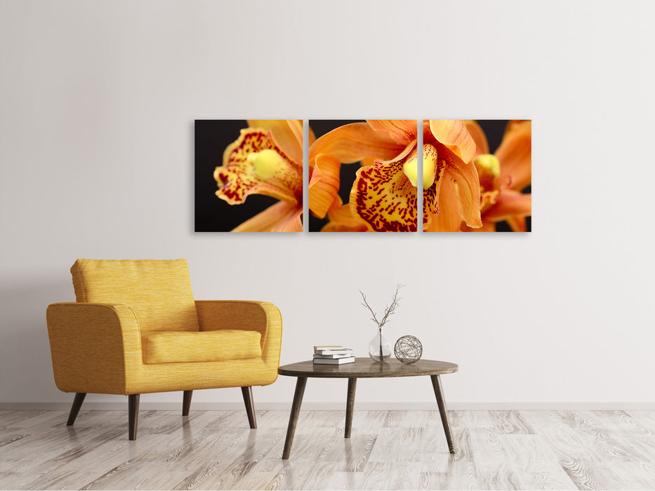 Panorama Leinwandbild 3-teilig Orchideen mit orangen Blüten