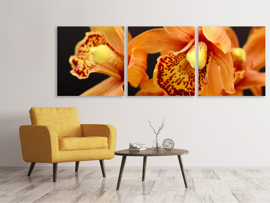 Panorama Leinwandbild 3-teilig Orchideen mit orangen Blüten
