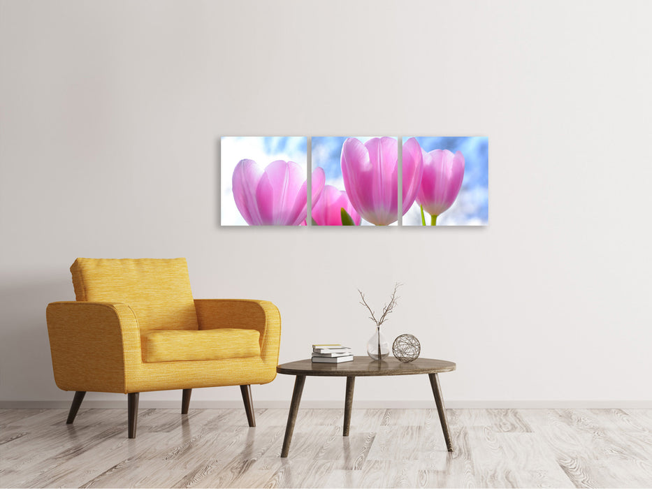 Panorama Leinwandbild 3-teilig Tulpen in der Natur