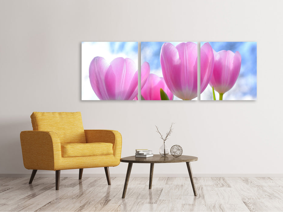 Panorama Leinwandbild 3-teilig Tulpen in der Natur
