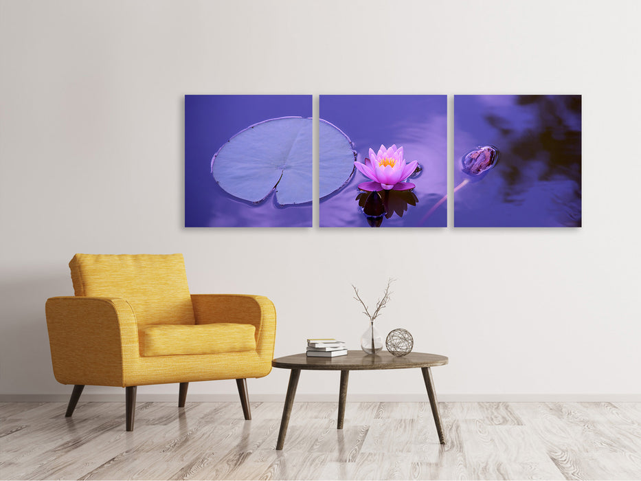 Panorama Leinwandbild 3-teilig Lotus Blüte