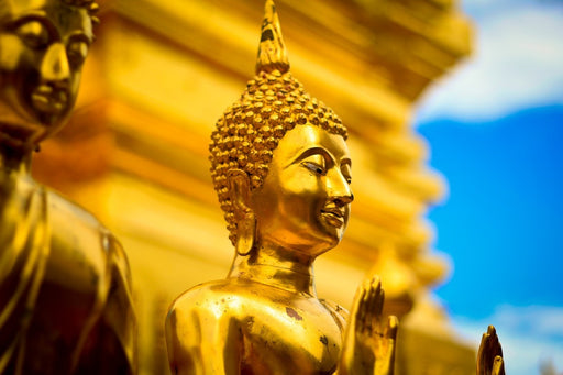 Fototapete Die goldenen Buddhas