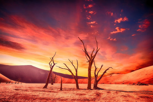 Fototapete Farbenprächtige Wüste