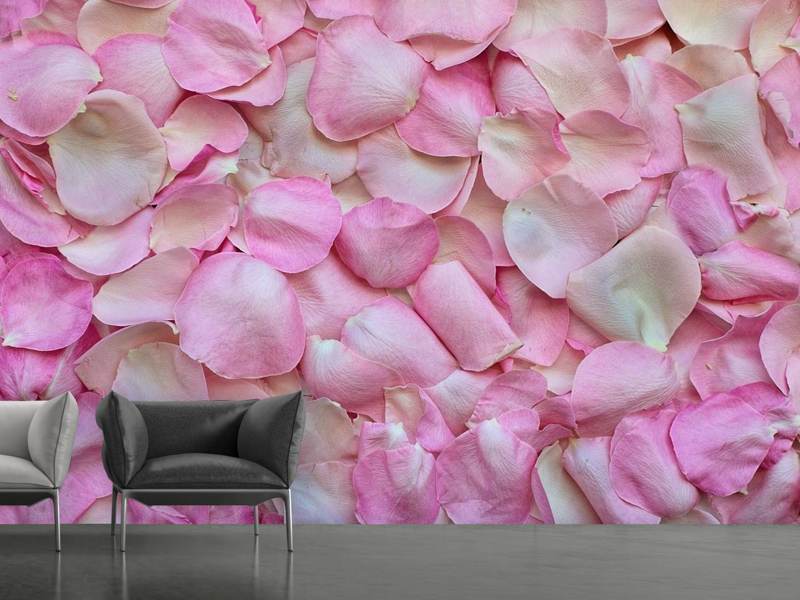 Papier peint photo pétales de rose en rose