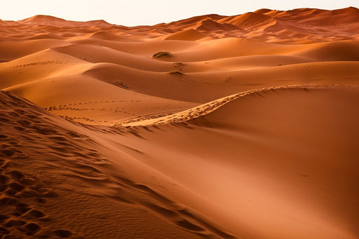 Fototapete Spuren in der Wüste