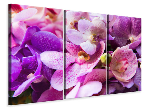 Leinwandbild 3-teilig Im Orchideenparadies
