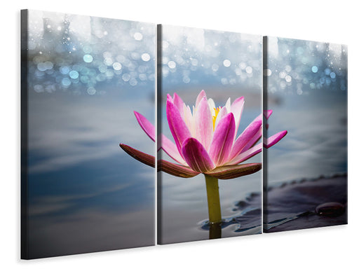Leinwandbild 3-teilig Lotus im Morgentau