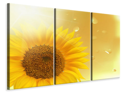 Leinwandbild 3-teilig Sonnenblume im Morgentau
