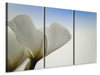 Leinwandbild 3-teilig Das Blatt einer Lilienblüte