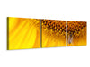 Panorama Leinwandbild 3-teilig Close up Gelbe Knospe