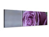 Panorama Leinwandbild 3-teilig Rose in Lila XXL