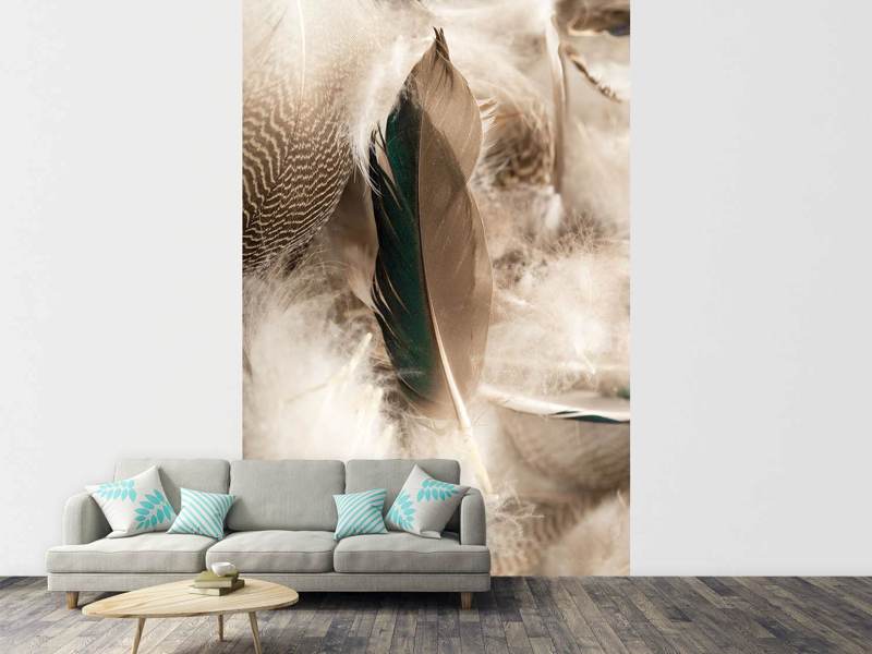 Wall Mural Feathers
