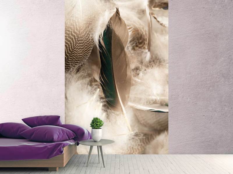 Wall Mural Feathers